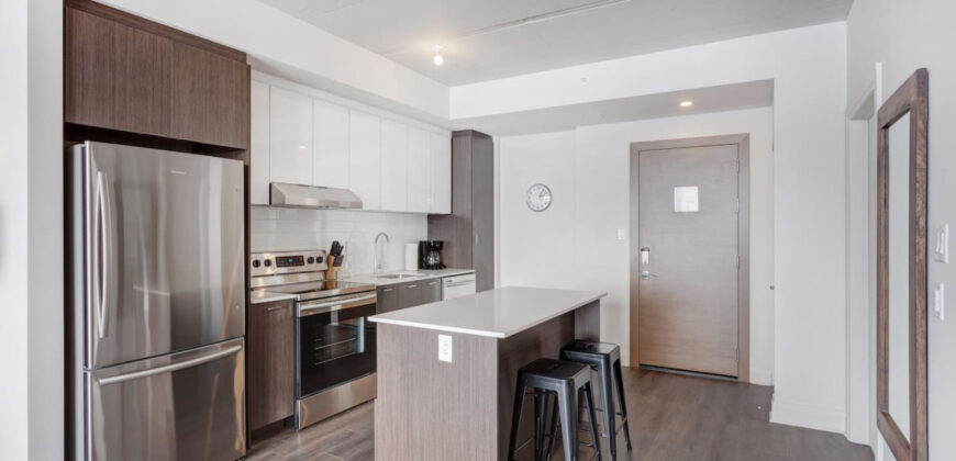 Corporate Stays |Equinoxe 1 Bedroom