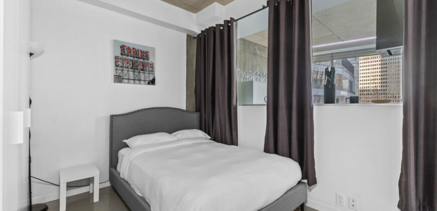 Montreal 2 Bedrooms Apartment