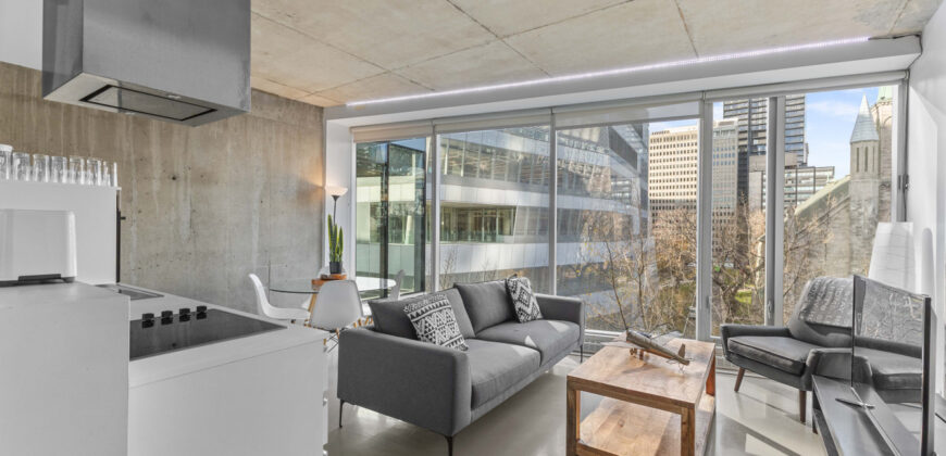 Montreal 2 Bedrooms Apartment