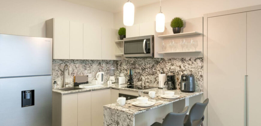 Furnished Studio with Park & City View in Panama