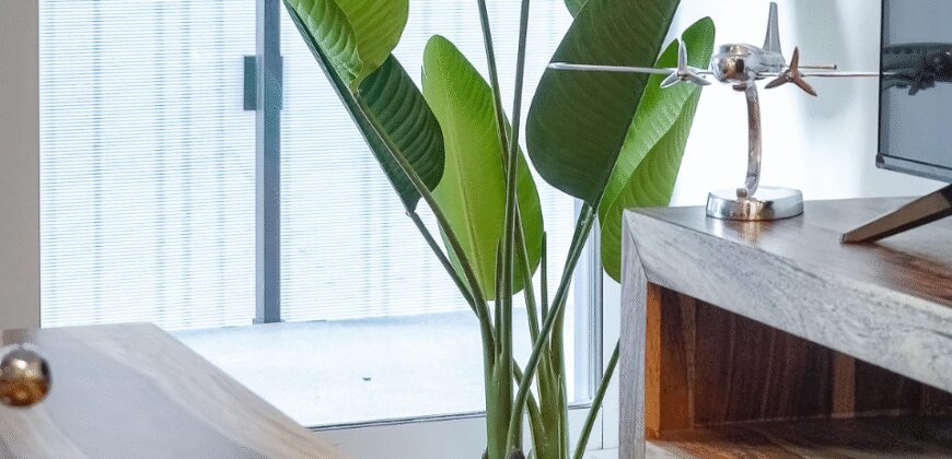 Toronto Loft