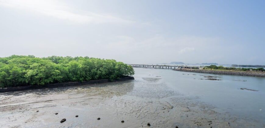 1BR and 3BR Apartments in Panama | Casa La Costa