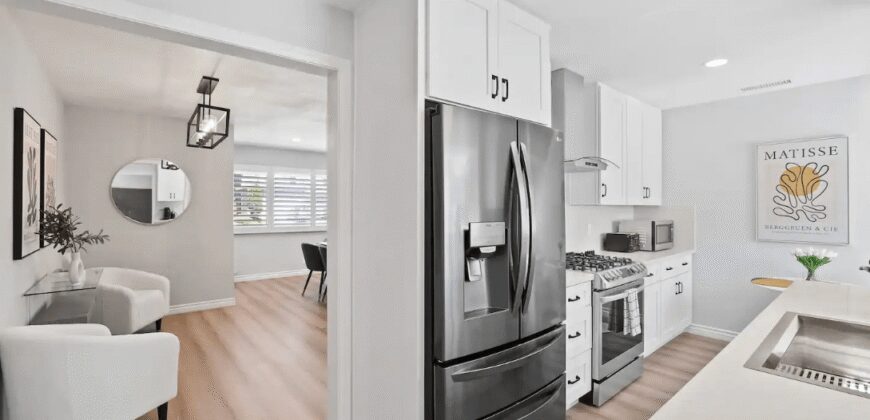 Disneyland Modern Brand New Home