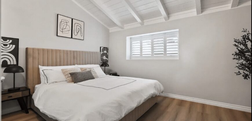 Disneyland Modern Brand New Home