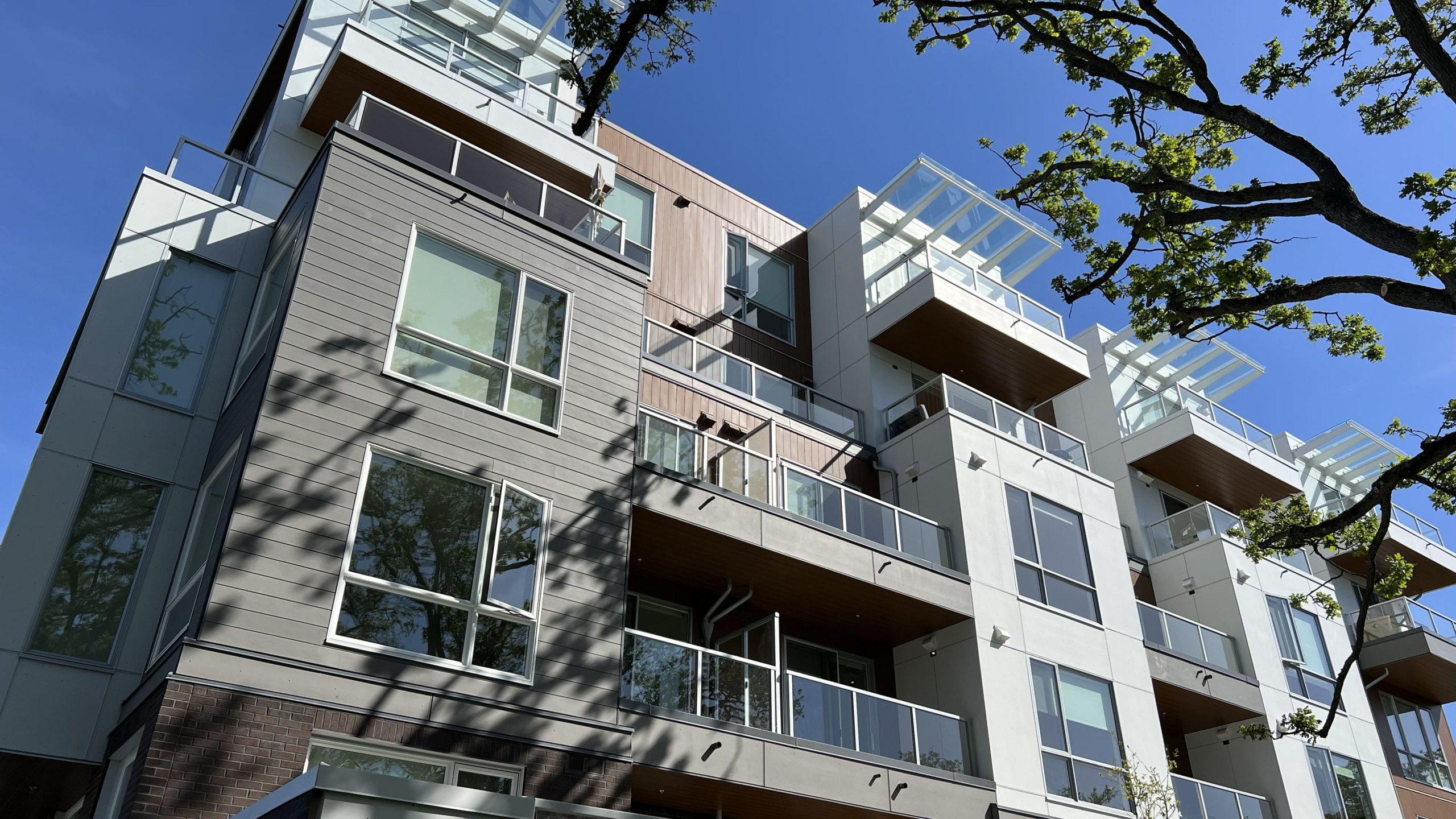 Hillside Oasis