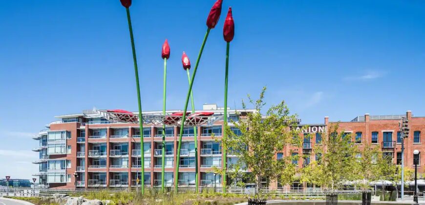 Janion Microlofts