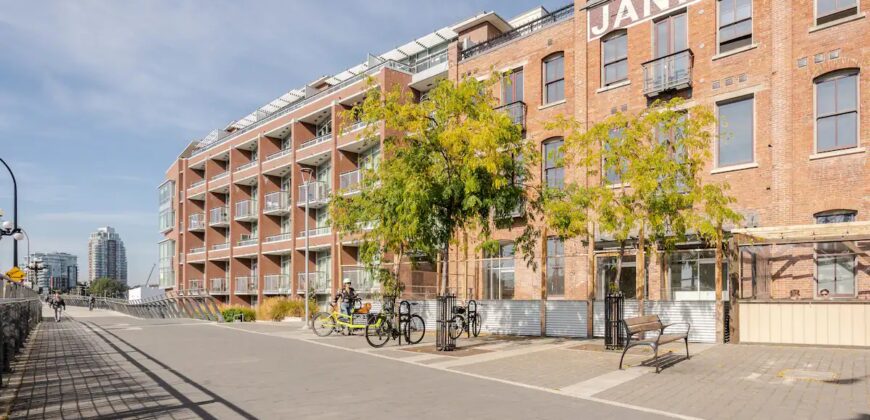 Janion Microlofts