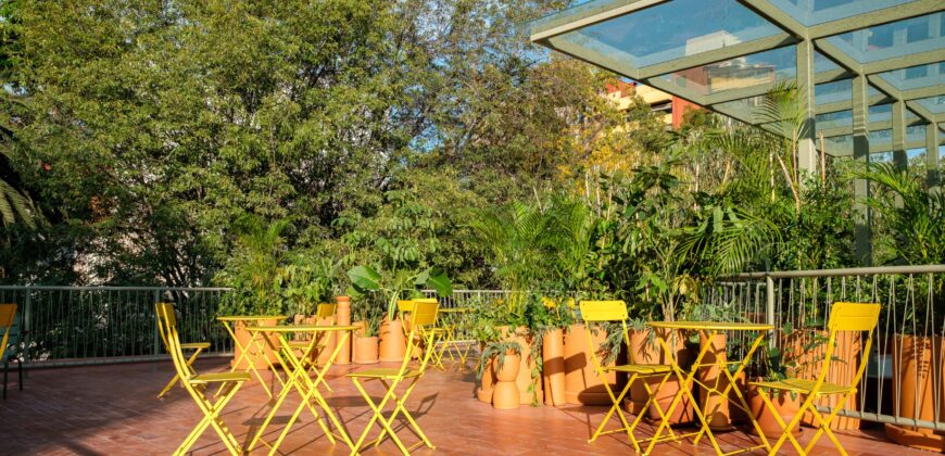 Nido Condesa