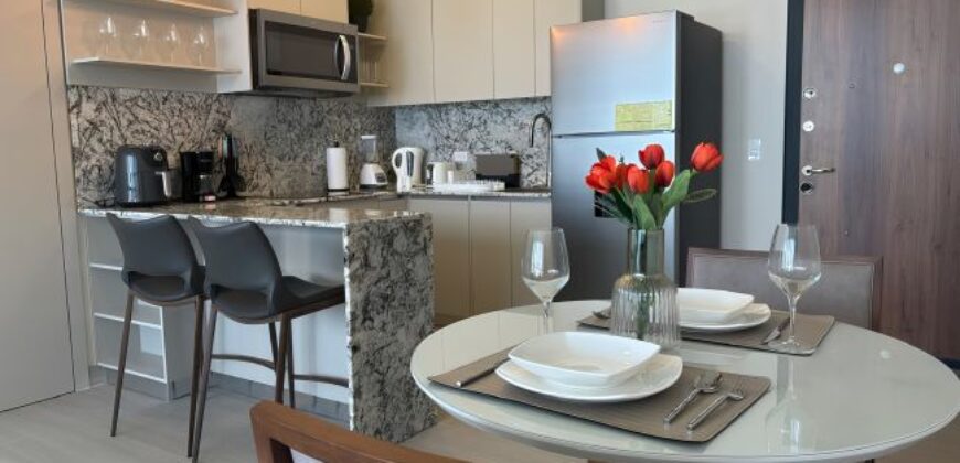 Furnished 1 BR Apartment with Ocean & Park Views for Business Stays